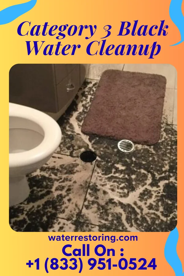 Category 3 Black Water Cleanup in Midwest, WY